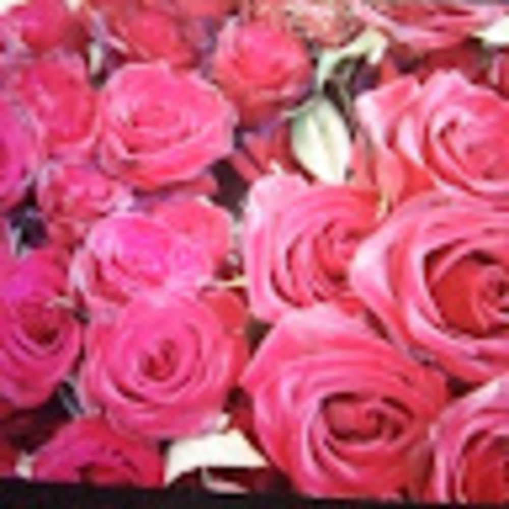 Meet your Posher, Melody